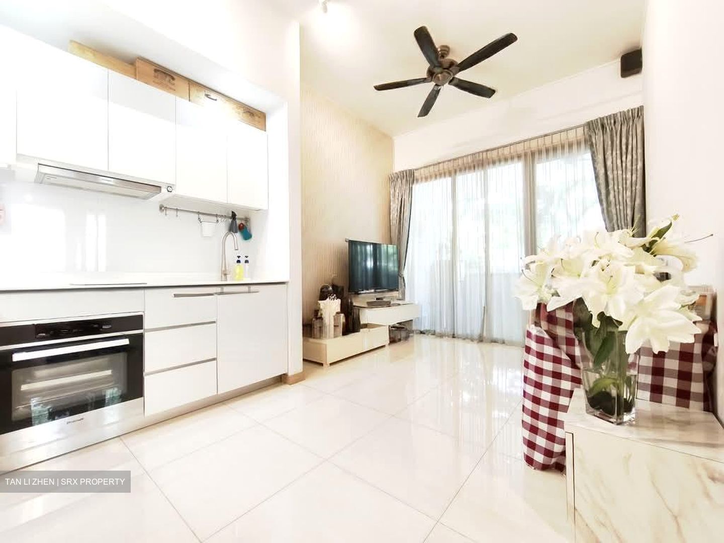 Terrasse (D19), Condominium #551269021